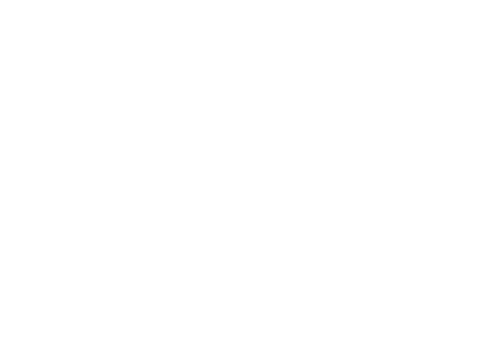 Seiger logo